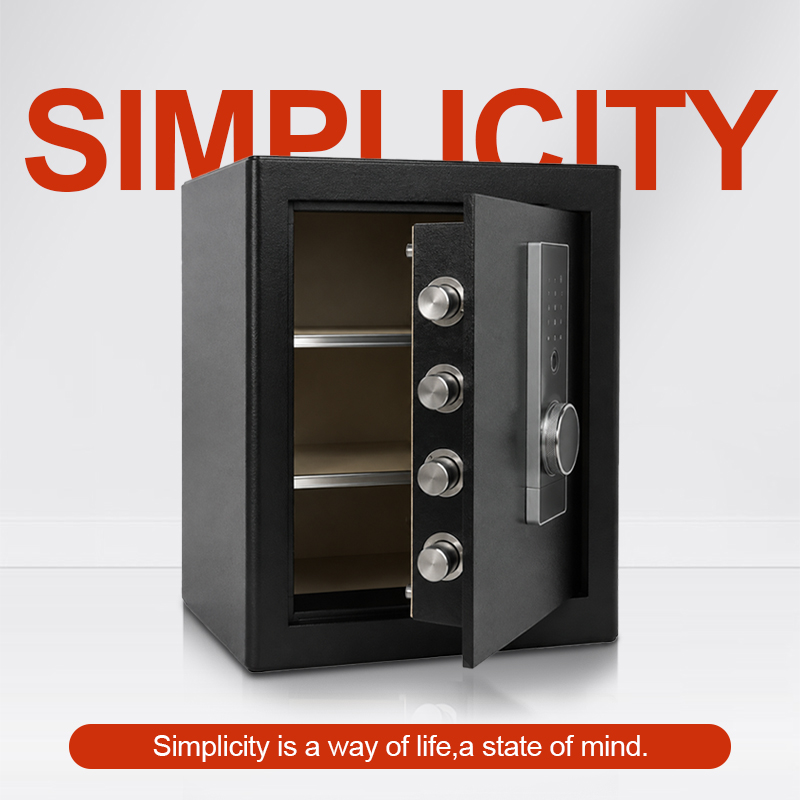 Biometric Fingerprint Safe Box - огляд і ціна Home Security Officer
